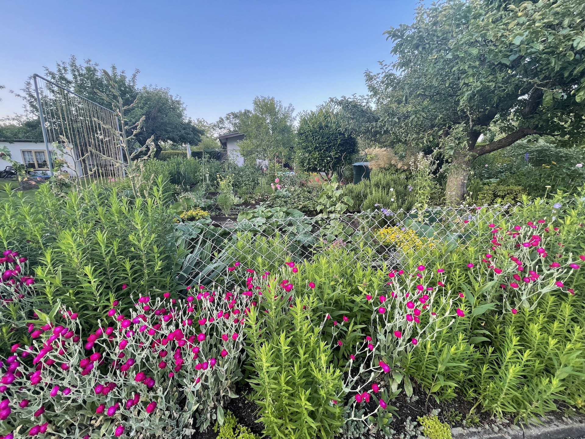 Bilder aus unserer Anlage