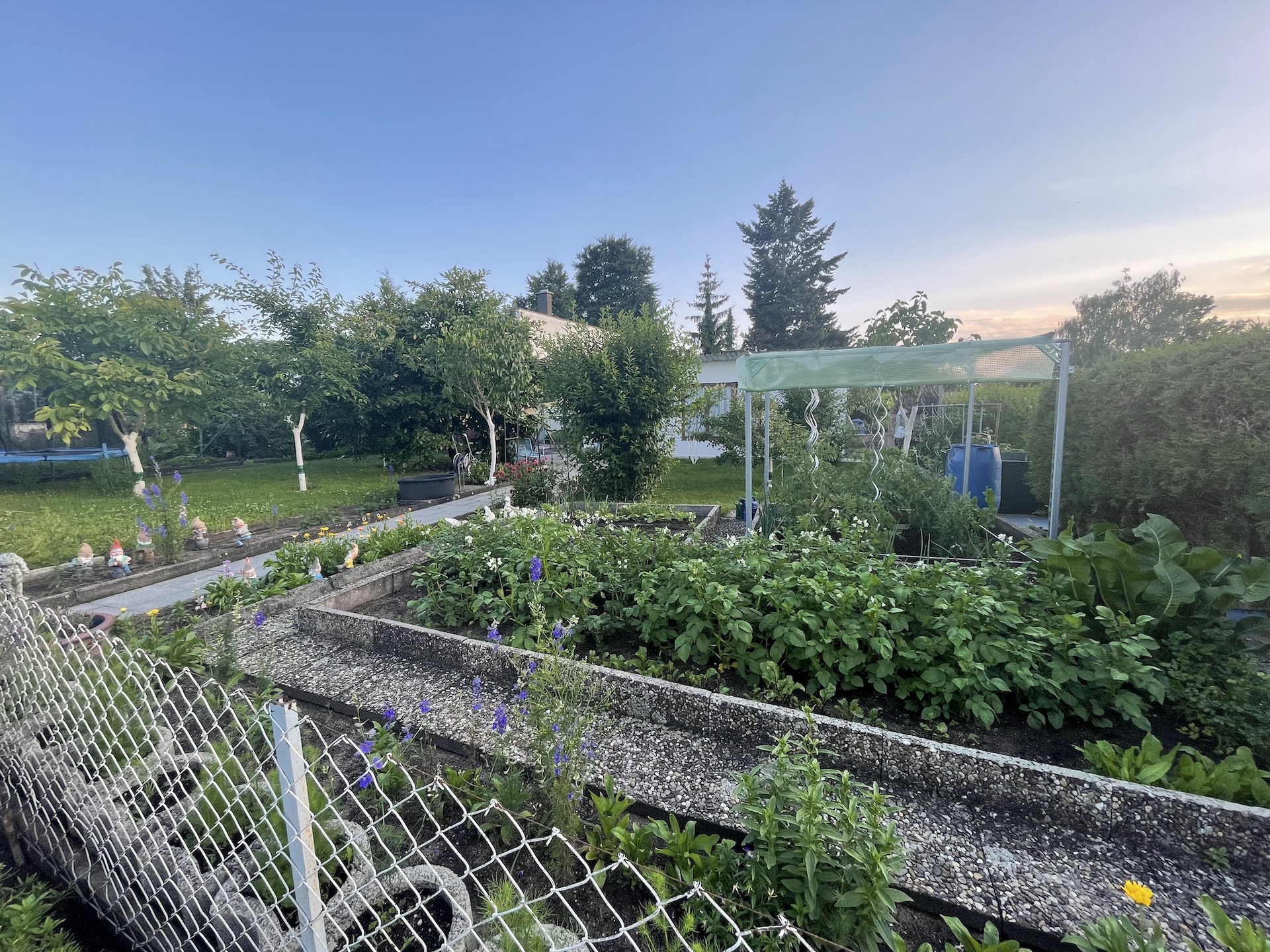 Bilder aus unserer Anlage