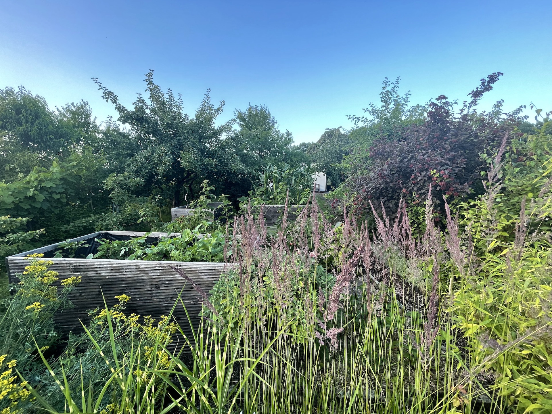 Bilder aus unserer Anlage