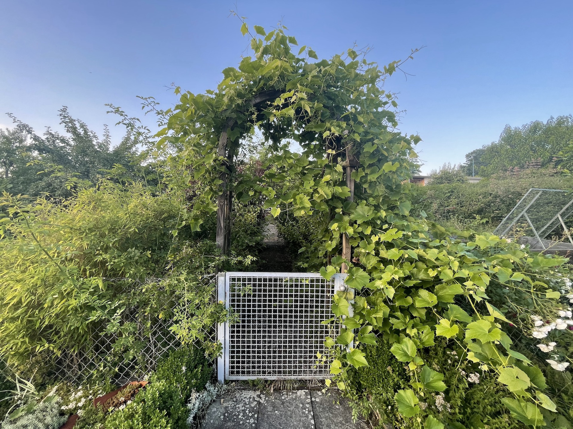 Bilder aus unserer Anlage