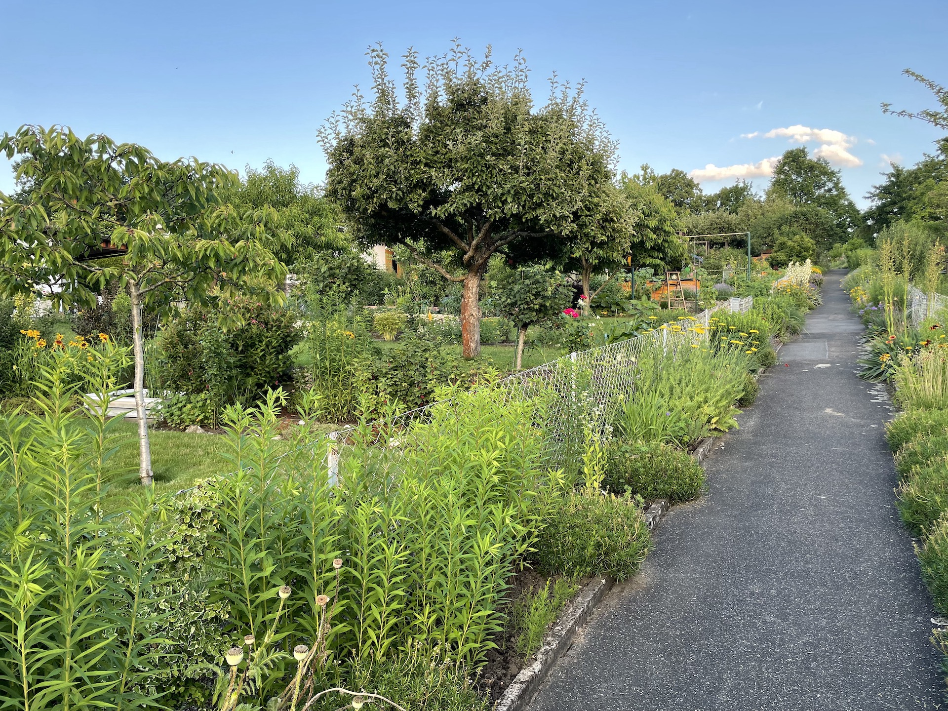 Bilder aus unserer Anlage