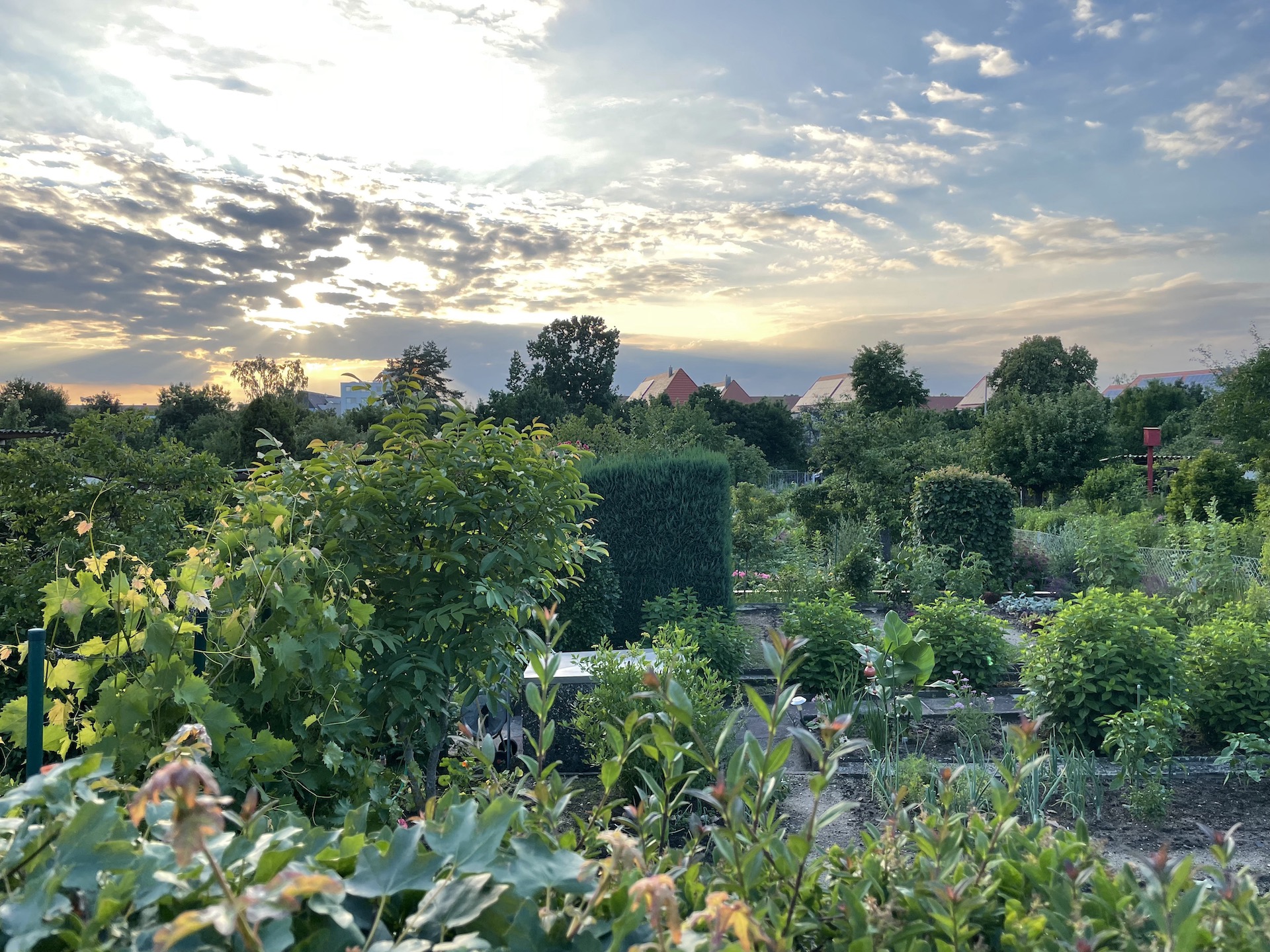 Bilder aus unserer Anlage