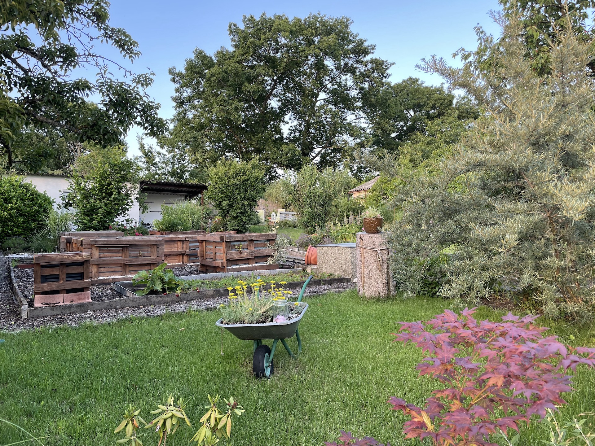 Bilder aus unserer Anlage