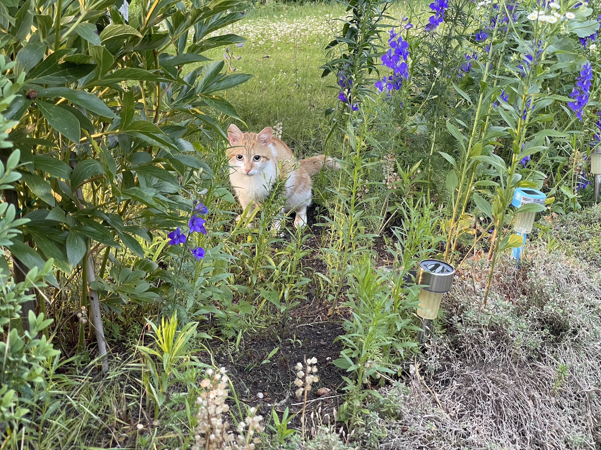 Bilder aus unserer Anlage