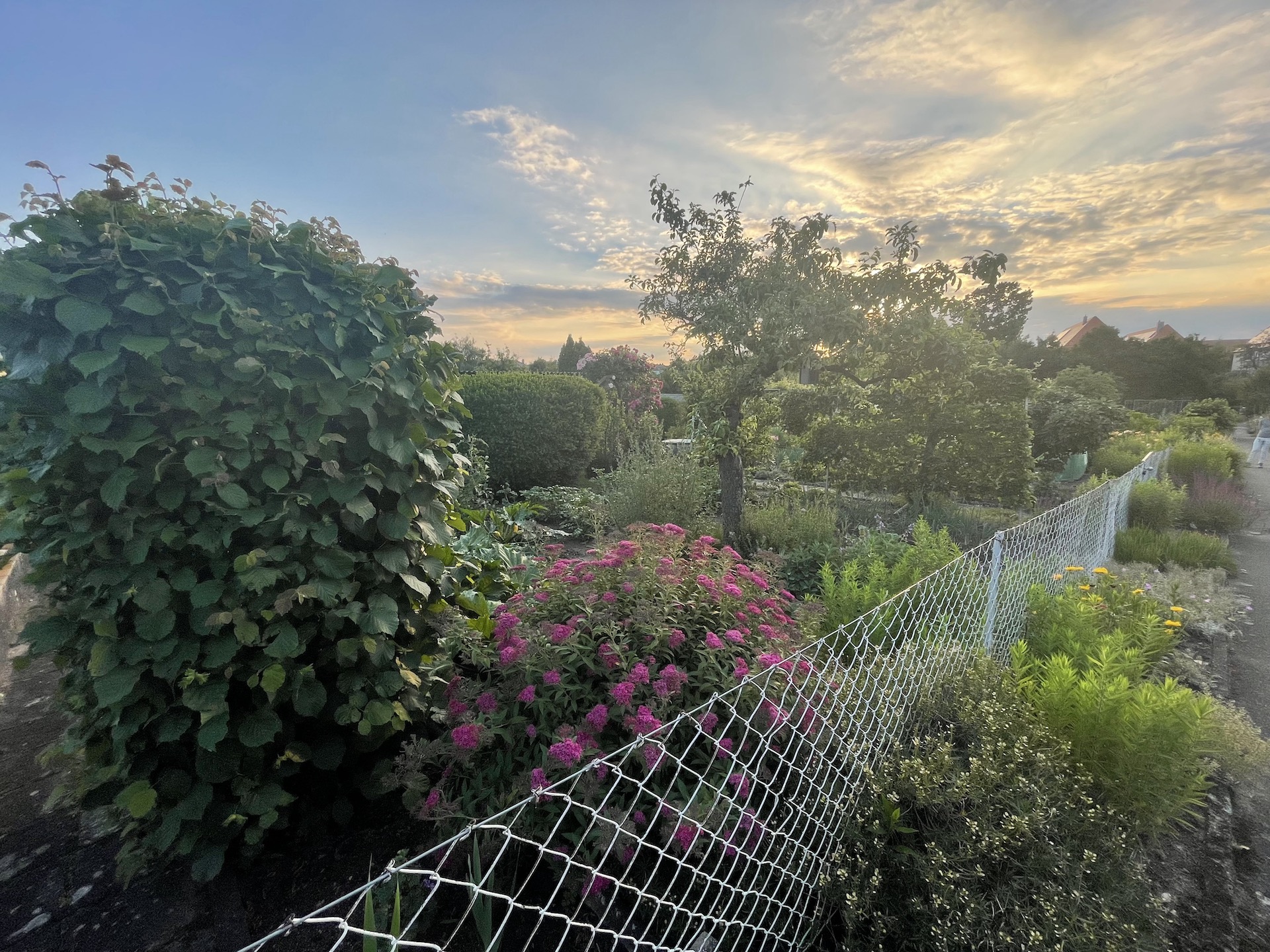 Bilder aus unserer Anlage