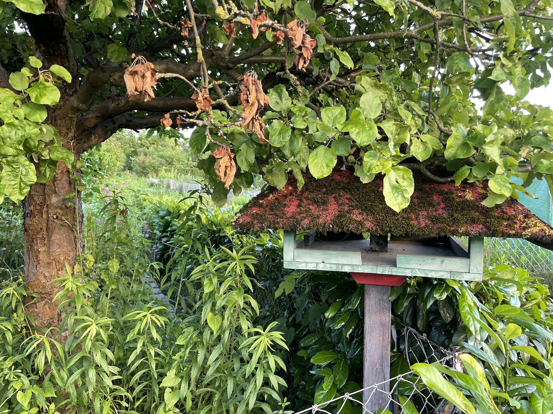 Bilder aus unserer Anlage