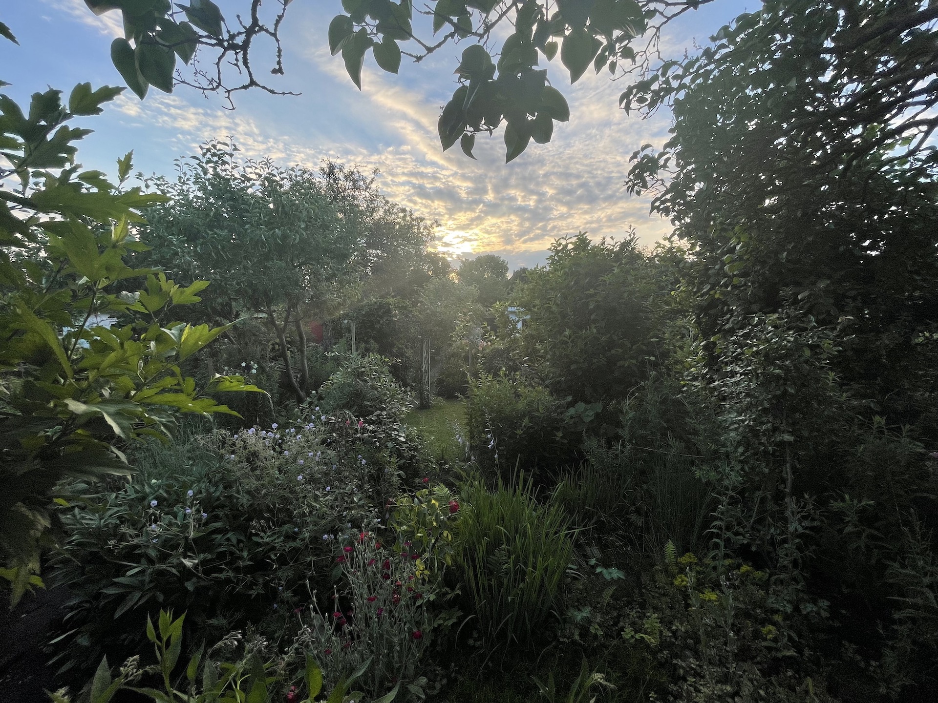 Bilder aus unserer Anlage