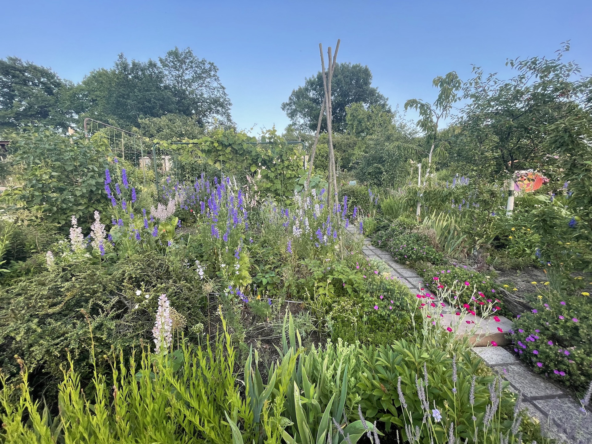 Bilder aus unserer Anlage