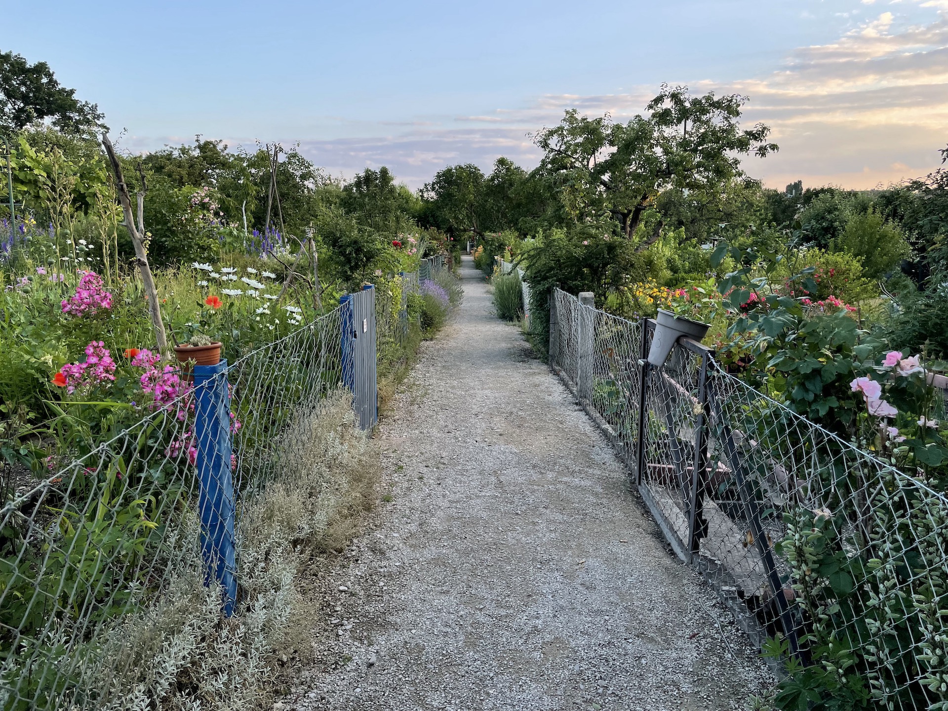 Bilder aus unserer Anlage