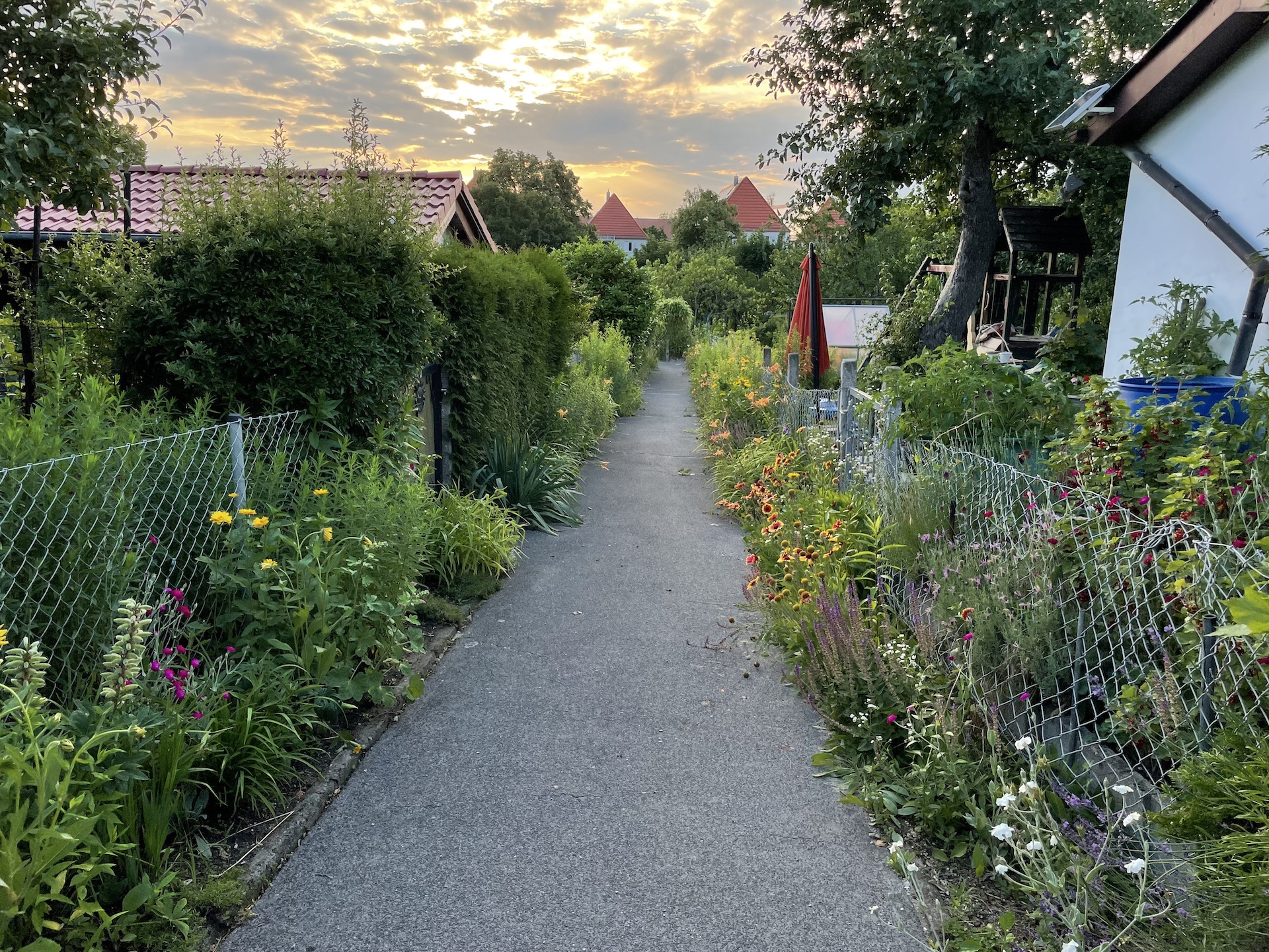 Bilder aus unserer Anlage