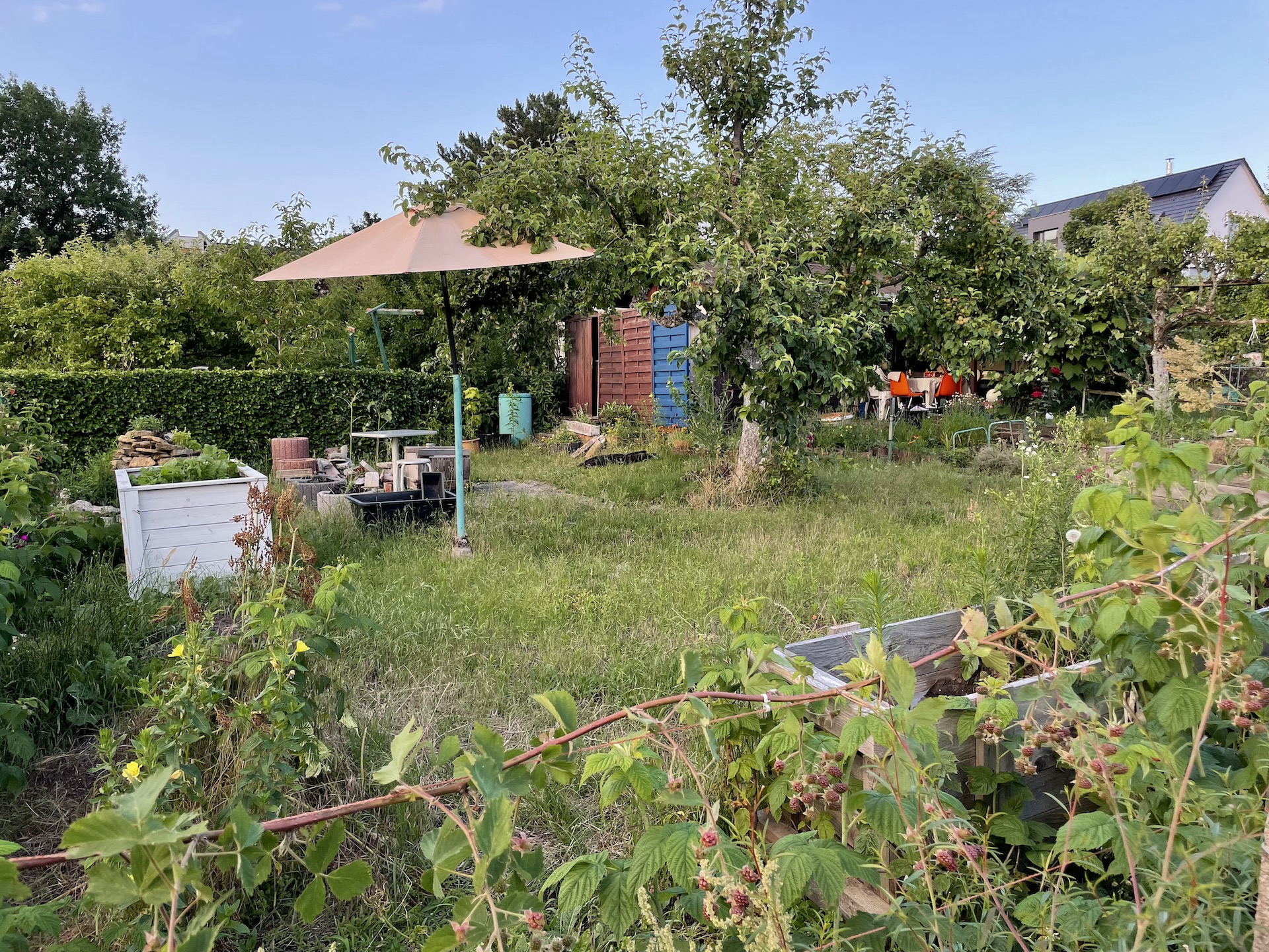 Bilder aus unserer Anlage