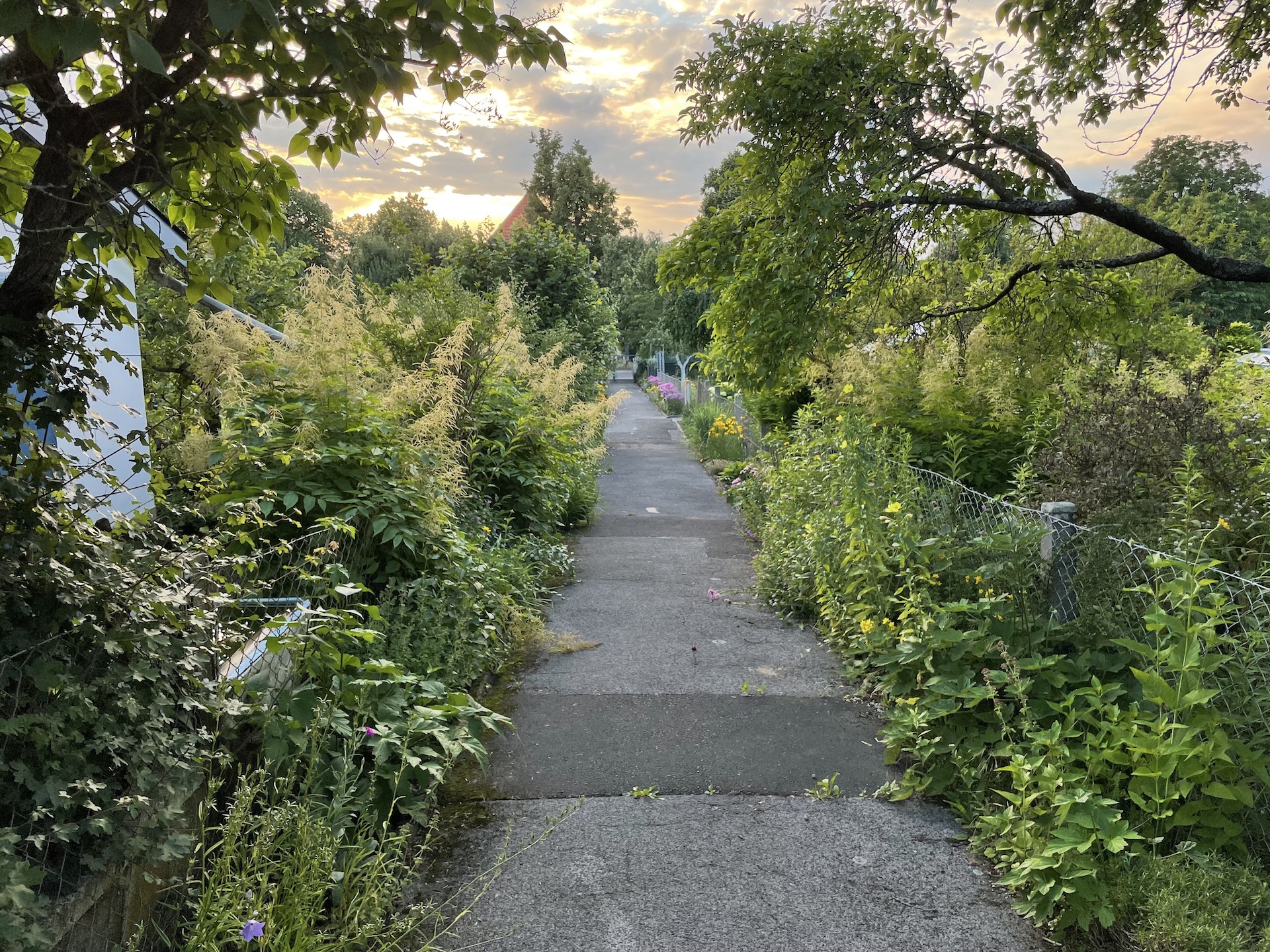 Bilder aus unserer Anlage