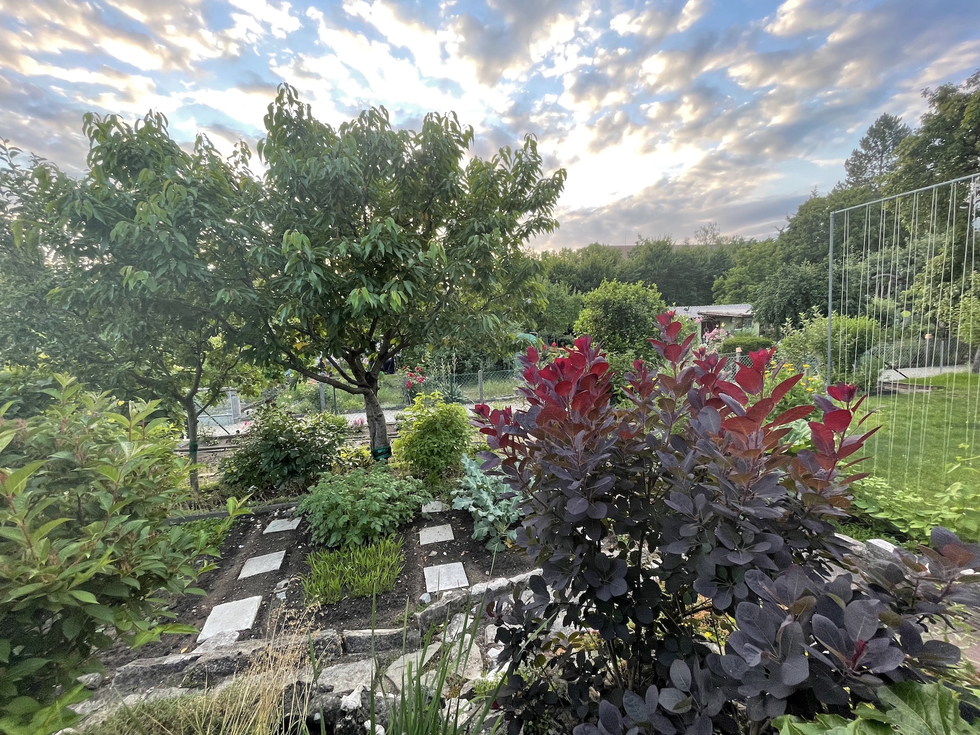 Bilder aus unserer Anlage