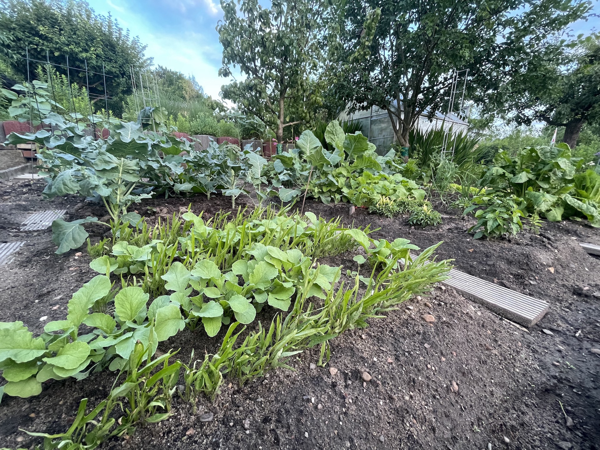 Bilder aus unserer Anlage