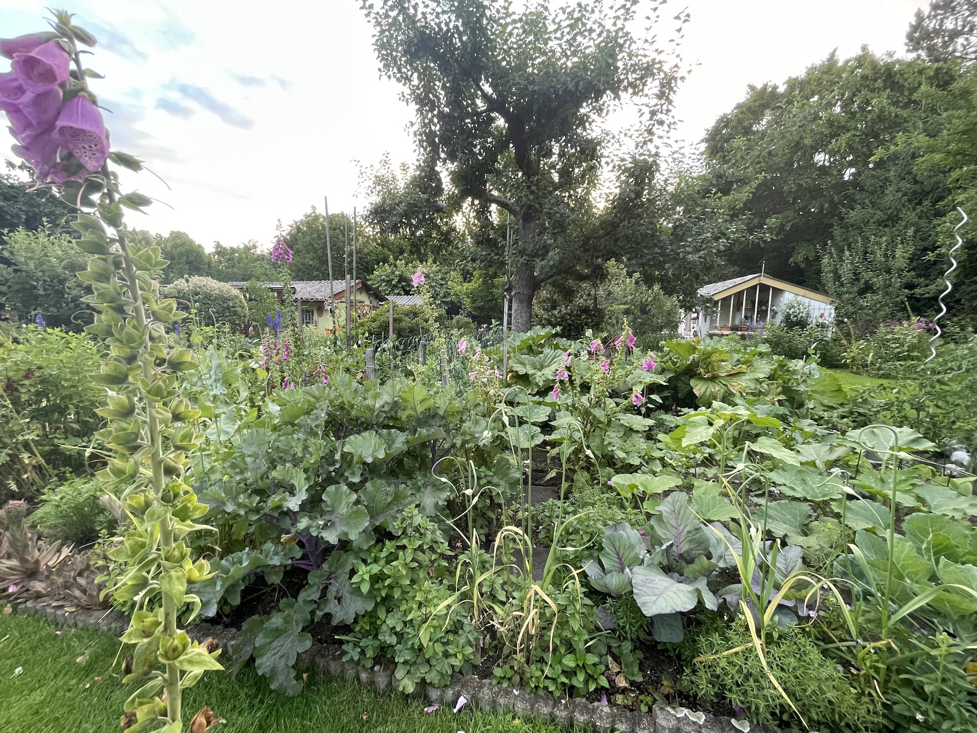 Bilder aus unserer Anlage