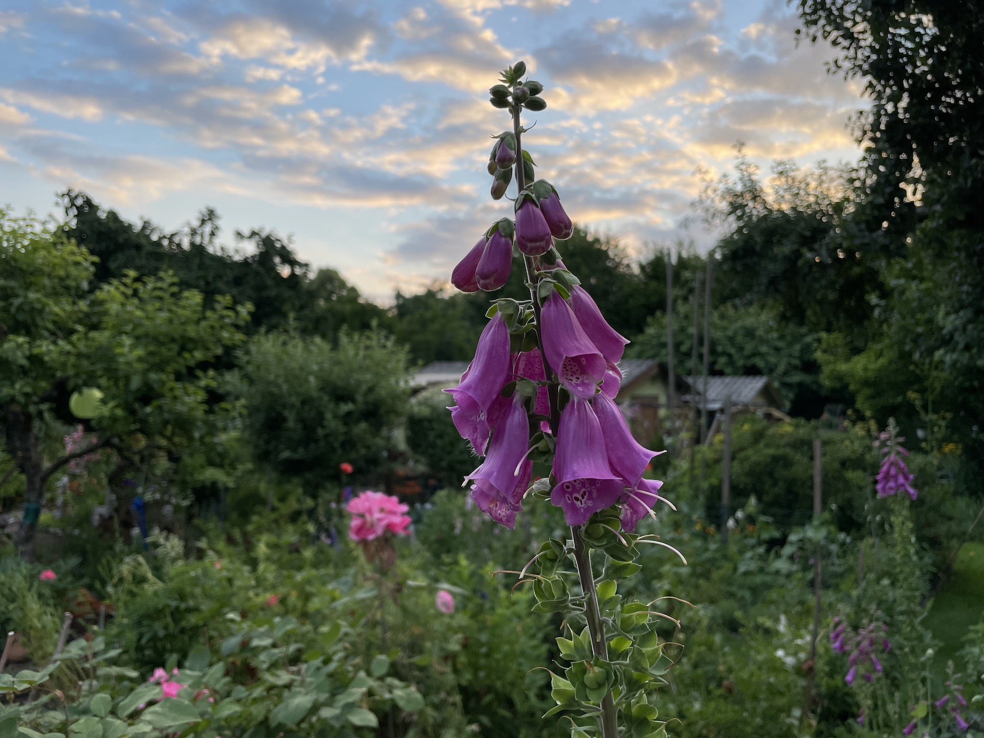 Bilder aus unserer Anlage