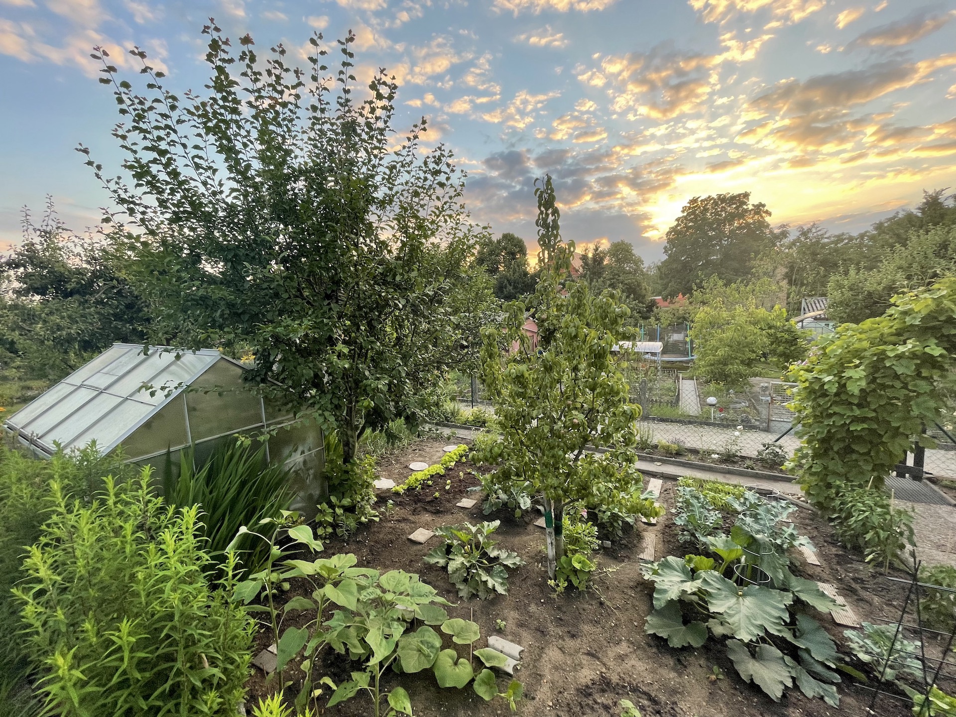 Bilder aus unserer Anlage