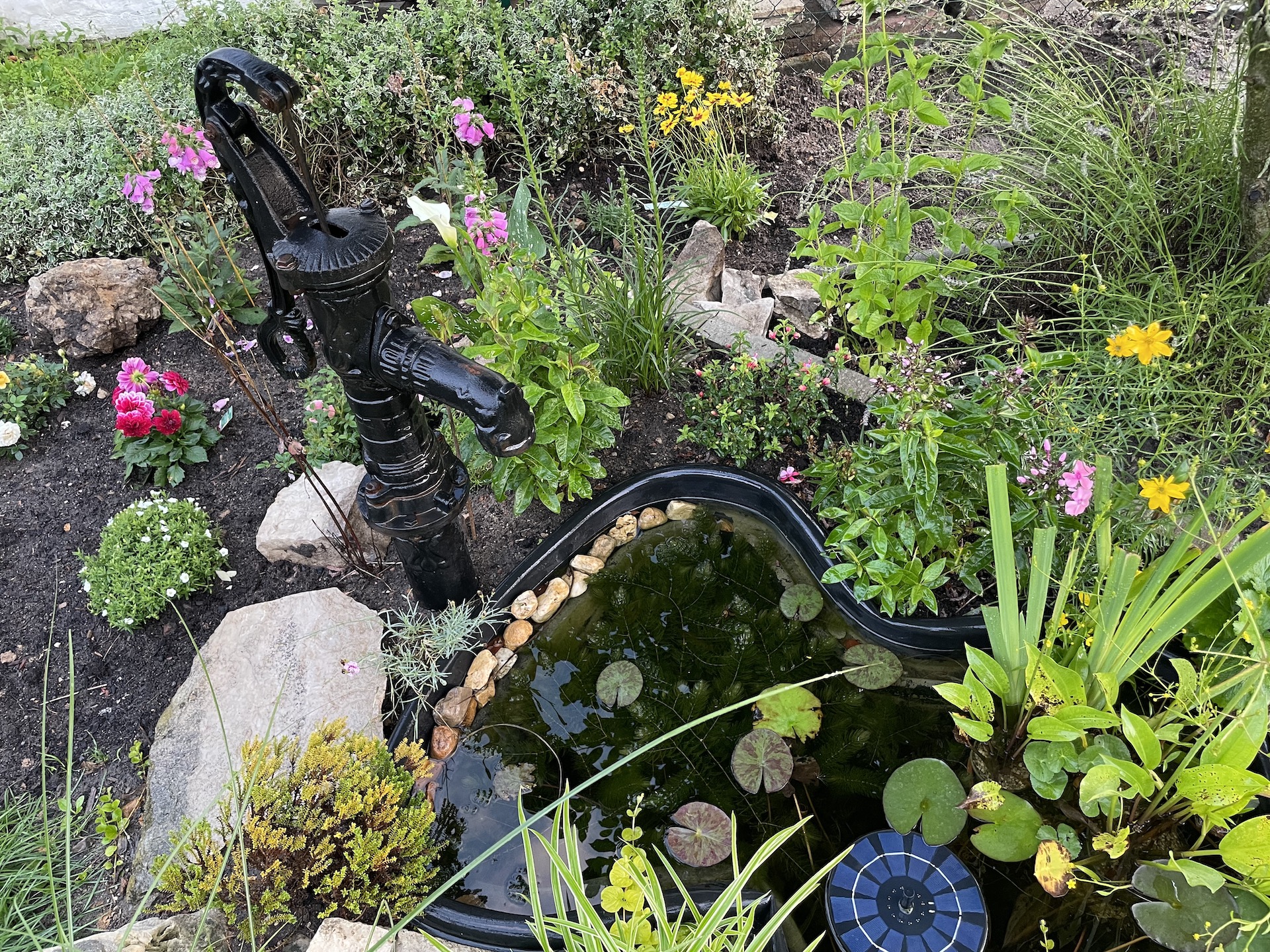 Bilder aus unserer Anlage