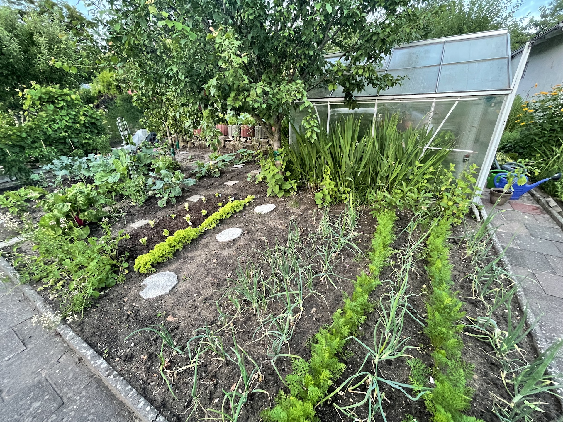 Bilder aus unserer Anlage