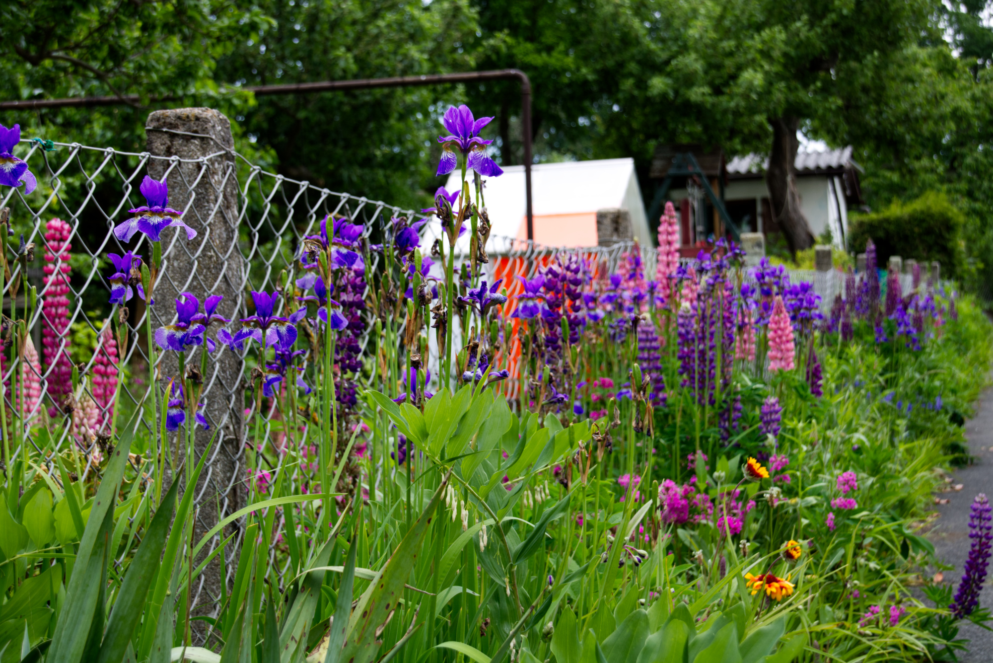 Bilder aus unserer Anlage