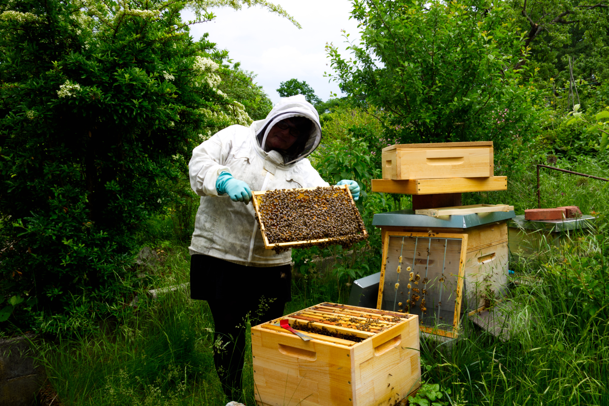 Bilder aus unserer Anlage