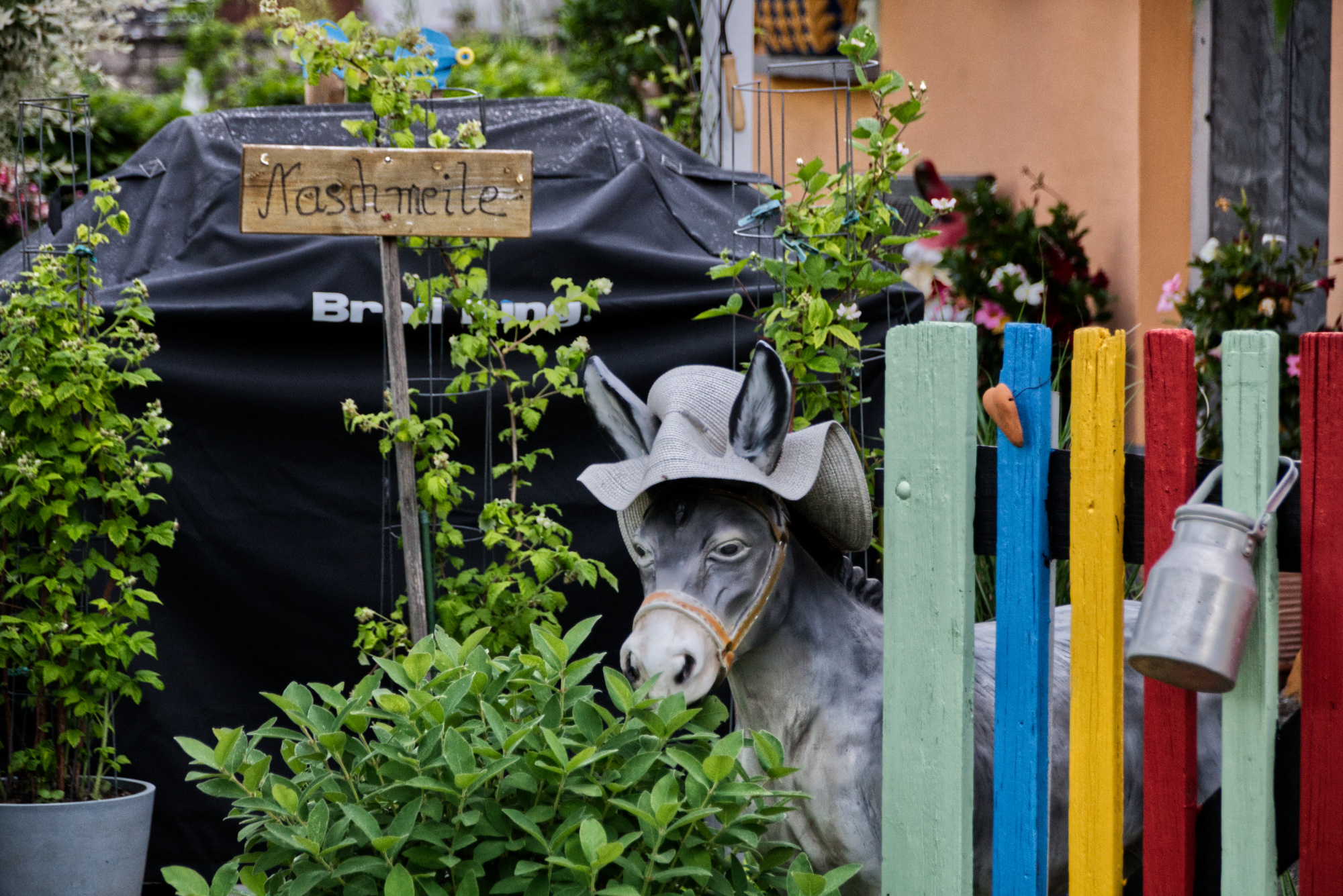 Bilder aus unserer Anlage