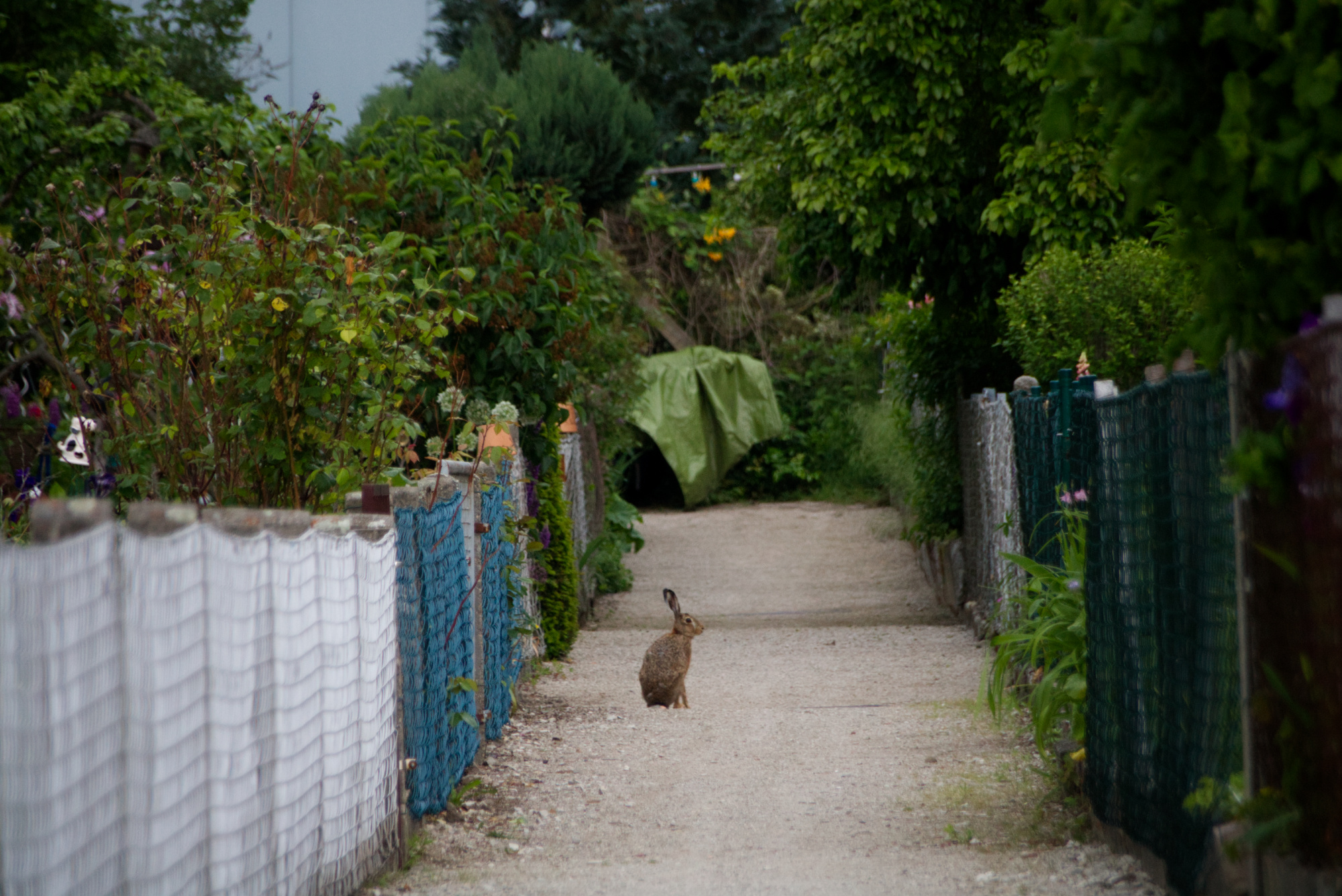 Bilder aus unserer Anlage